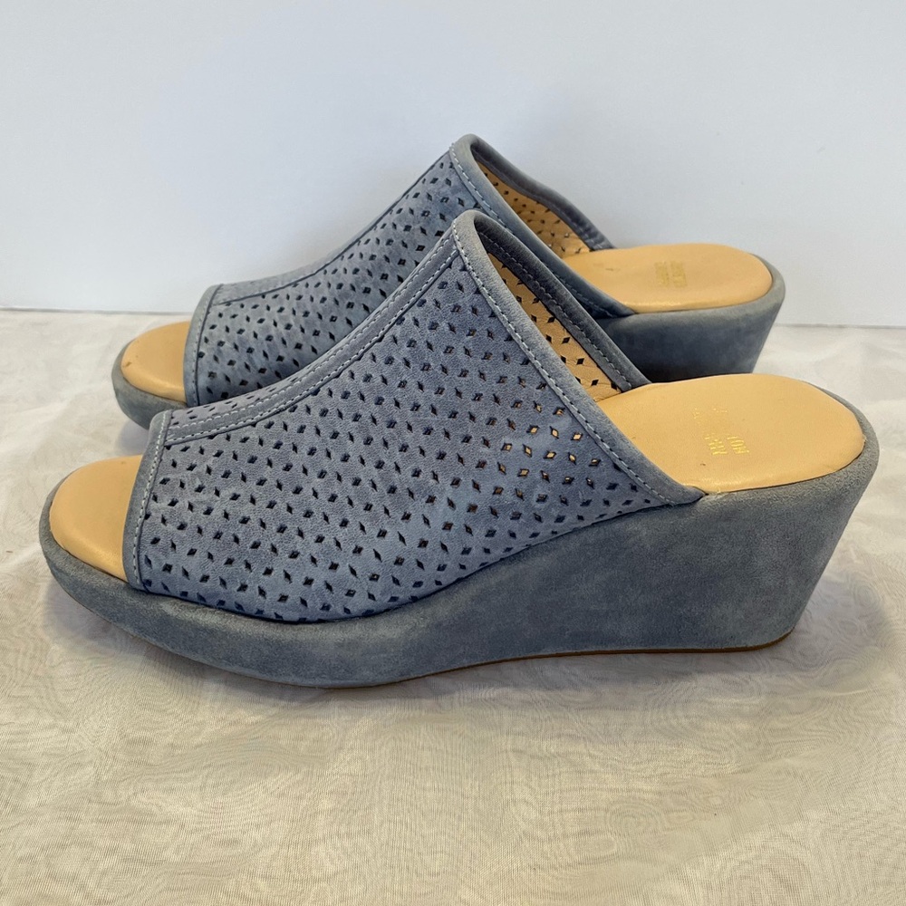 Johnston & Murphy Blue Suede Wedge Sandals